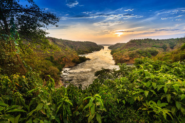 Nile river - Murchison Falls N.P. - Uganda - obrazy, fototapety, plakaty