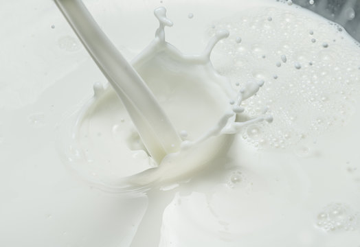 Pouring milk and milk splash. Close-up.