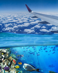 Fototapeta premium Conceptual picture. Sky and sea. Vacation.