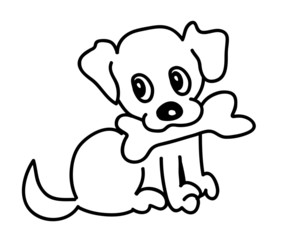 Cute dog