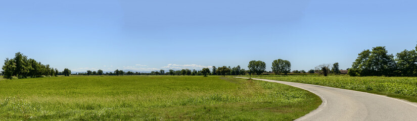 landscape with rice fields near Motta Visconti, Italy - obrazy, fototapety, plakaty