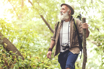 Cheerful old man traveling in wild nature