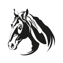 Vector silhouette of a horse's head
