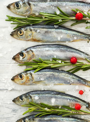 Fresh raw fish Baltic herring on a table with fresh herbs and cowberry.