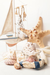 Marine positive field favors shells starfish boat on a bright white soft background