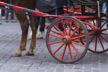 traditional horse-drawn carriage