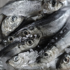 Closeup of Raw Baltic herring with salt