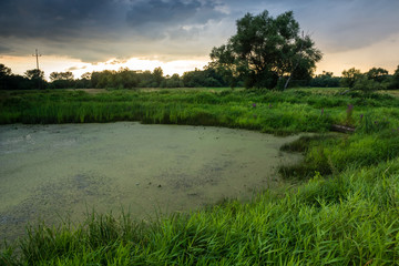 Obraz premium Beautiful landscape with pond, forest and meadow, Poland