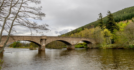 Fototapeta premium Batch 3