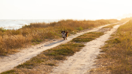 Country road