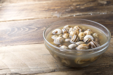 Snail typical food spanish