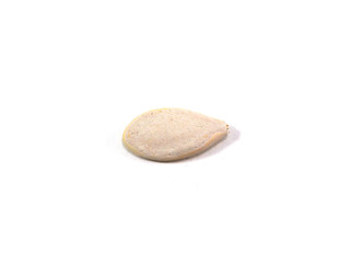 Pumkin seed on white background