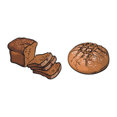 vector sketch fresh dark brown sliced rye bread and round loaf set. Detailed hand drawn isolated illustration on a white background. Flour pastry products, bakery banner, poster design object
