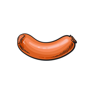 vector sketch sausage. Cartoon isolated illustration on a white background. Sausage and meat types concept