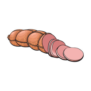 vector sketch boiled sausage with slices. Cartoon isolated illustration on a white background. Sausage and meat types concept