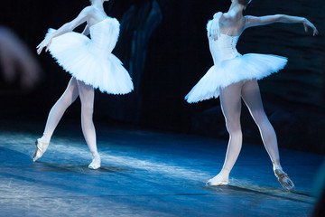 choreography, art, ballet concept. impeccable bodies of two female ballet dancers are shinning in...