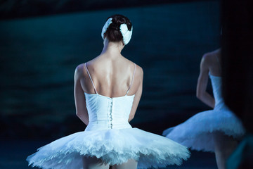 choreography, dancing, culture concept. back of adorable caucasian ballerina dressed in gleaming dress with tutu for dansing legendary ballet staging swan lake