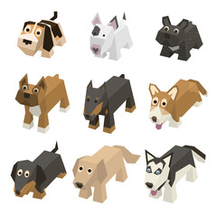 Vector set of different breed isometric dogs. Isolated cute isometry animals. Elements of geometric flat dogs for 3d game. Icon collection of domestic and home animals.Beagle, Bulldog, Boxer, Doberman