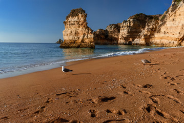 Fototapeta na wymiar Coastline at Algarve, Atlantic ocean, Portugal
