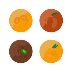 Orange, apple, kiwi and mandarin round icons