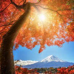 Mount Fuji in Autumn Color, Japan