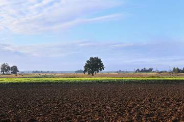 Obraz premium Agricultural landscape, arable crop field. Countryside landscape arable. Plowed soil in farmland.
