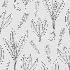Seamless pattern with turmeric. Medical botanical plant, root, leaves. hand drawn black and white texture.