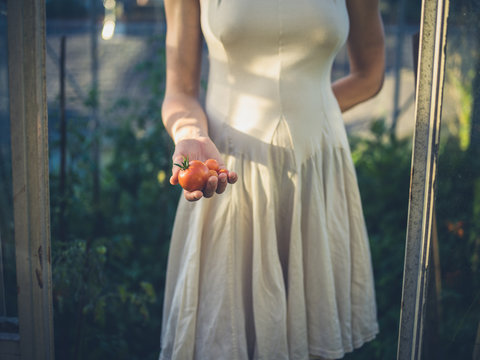Woman in dress with tomatoes in greenhouse