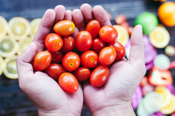 Two hands with full of cherry tomatoes above the black wood table with a lot of colorful vegetables and fruits 