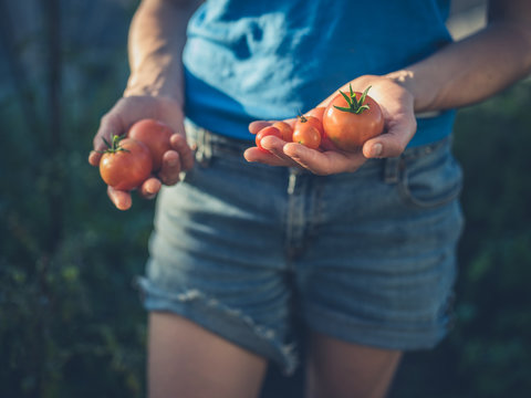 Young woman holding tomatoes from greenhouse