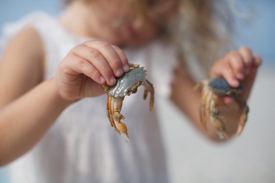 girl holding crab in hands. creature, kid, seafood, claws.