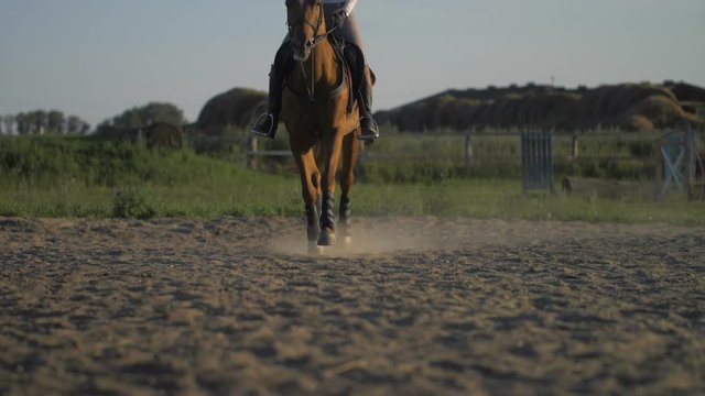 Horse Riding on the Arena