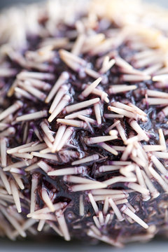 sea urchin. seafood, raw, sea hedgehog, spiked.