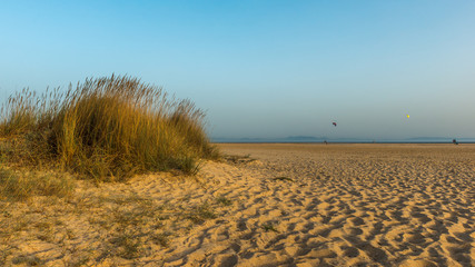 plaża w Hiszpanii, wydmy, piasek i roślinność 