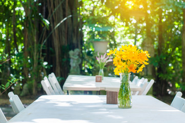 Cosmos flowers in vase lay on white dinner table with park background and light flare.