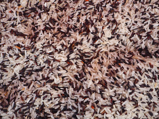 Jasmine rice mixed with rice berry 