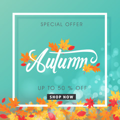 Autumn sale background layout decorate with autumn leaves for shopping sale or promo poster and frame leaflet or web banner.Vector illustration template.