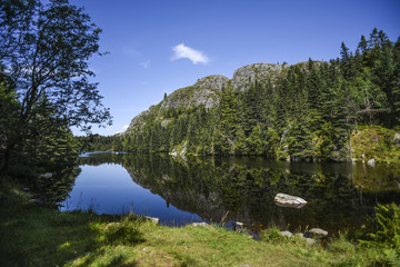 A view of the forest reflecting on the lake surface on a sunny summer day in Bergen, Norway.