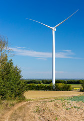 Fototapeta na wymiar Wind turbines generating electricity with blue sky - energy conservation concept
