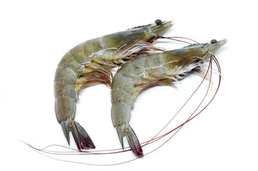 Fresh raw prawns