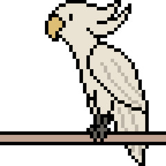 Obraz premium vector pixel art