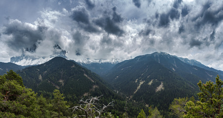 Green forest and snowy mountains. Dolomites Alps