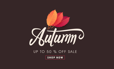 Autumn sale background layout decorate with autumn leaves for shopping sale or promo poster and frame leaflet or web banner.Vector illustration template.