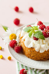 Raspberry Cake with whipped cream on pink background