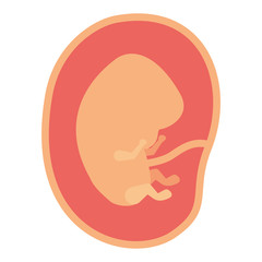 color silhouette of side view fetus human embryo growth in placenta