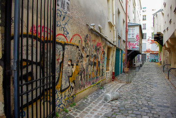 Parisian little street with graffitis