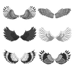 Obraz premium Collection of 6 pairs of elegant bird or angel spread wings isolated on white background. Symbol of flight and freedom. Monochrome vector illustration for logo, banner, advertisement, tattoo.