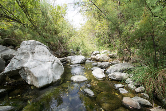 calm river scene taken at Benahavis, Spain