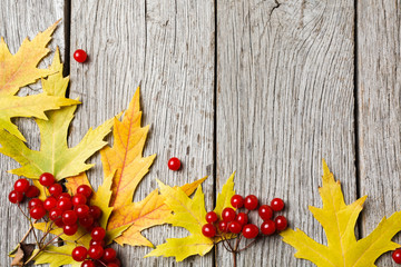 Obraz premium Autumn maple yellow leaves on rustic wood background