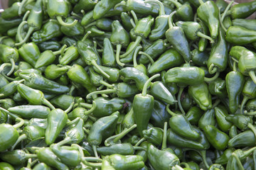 Green Padron Pepper